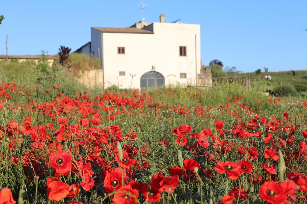 Masseria Agriturismo Moschella Posta Piana Eksteriør billede