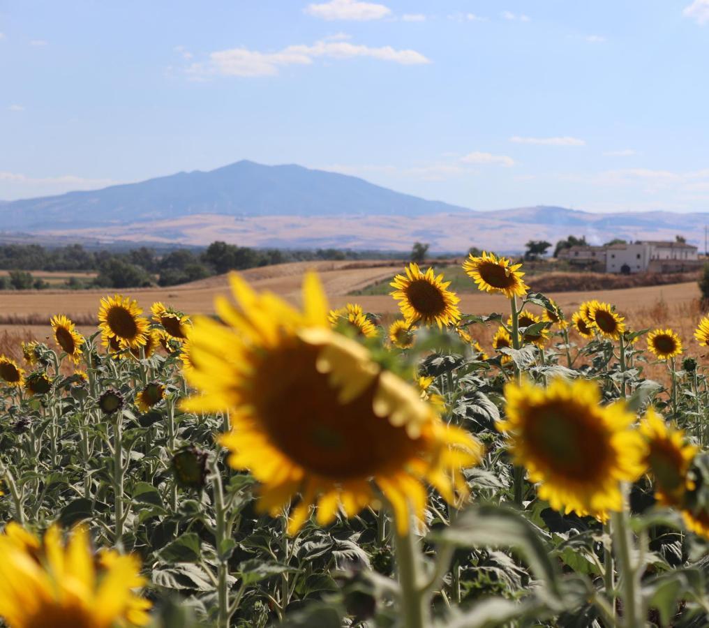 Masseria Agriturismo Moschella Posta Piana Eksteriør billede