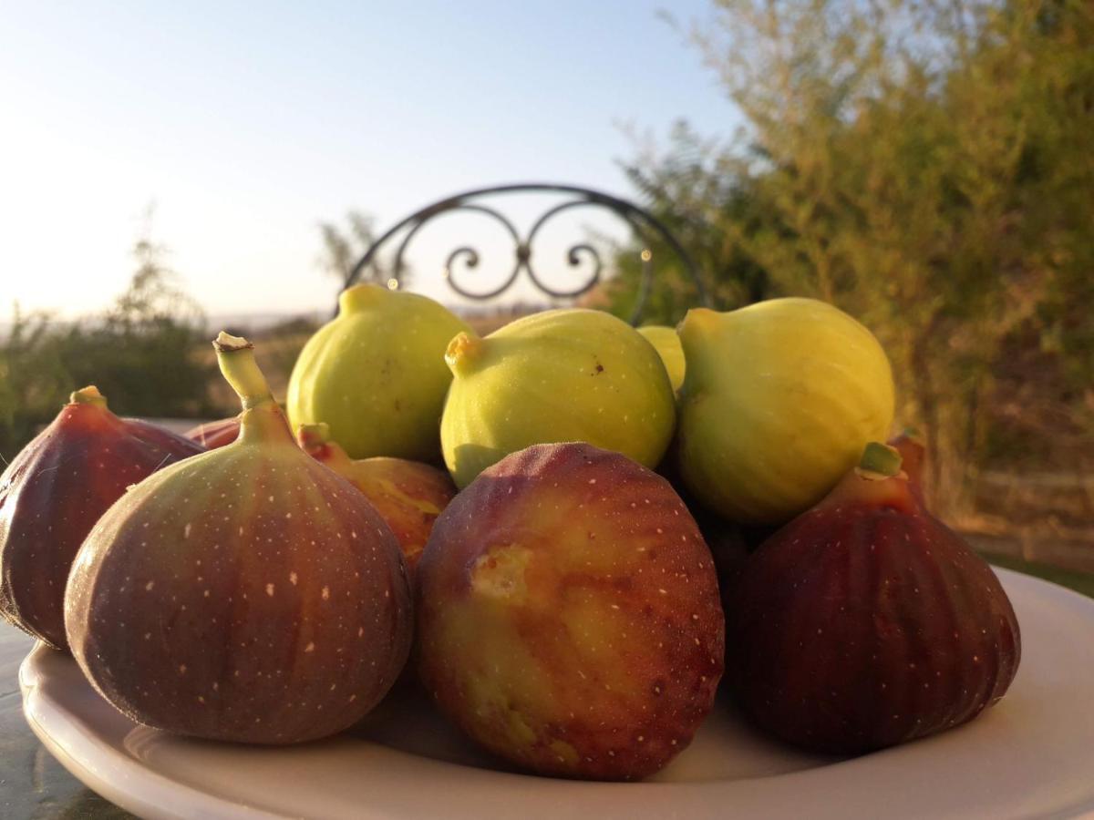 Masseria Agriturismo Moschella Posta Piana Eksteriør billede